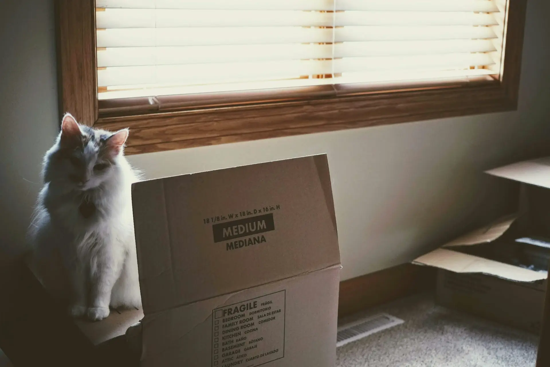 Choose a workable moving date in Salaberry-de-Valleyfield
