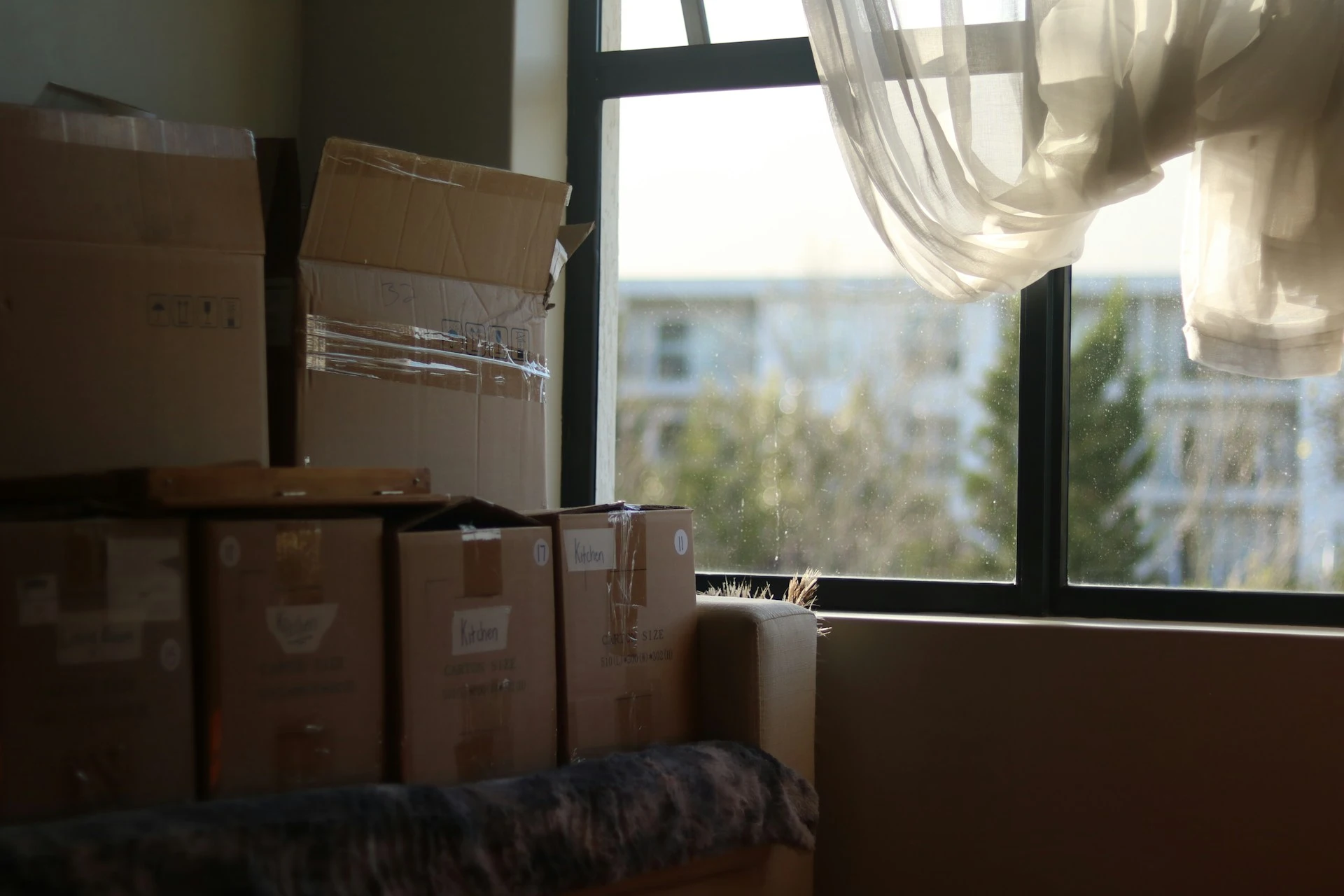 Moving boxes in a bright home